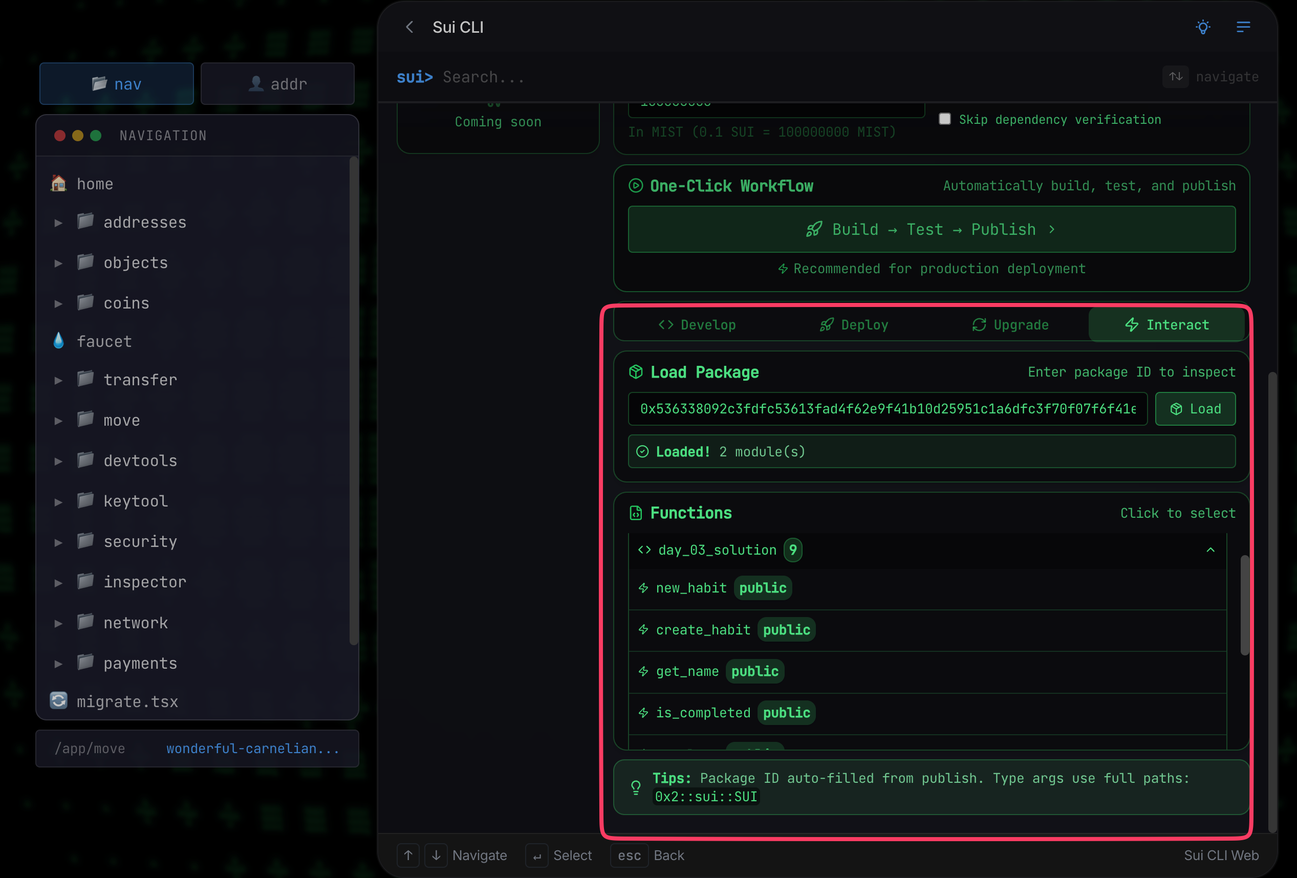 Load published package in Interact tab