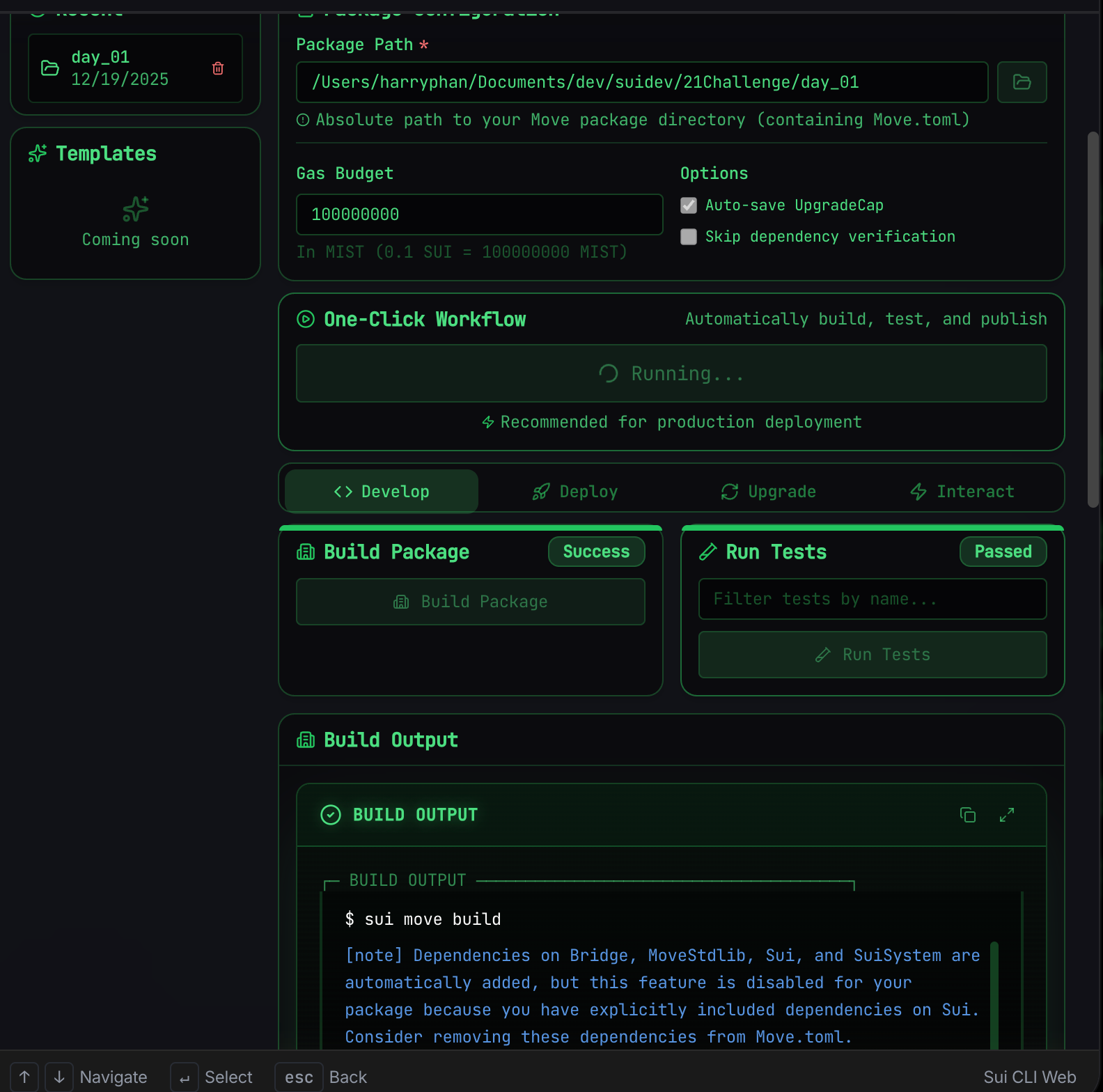 Sui CLI Web Develop tab - Build Package and Run Tests