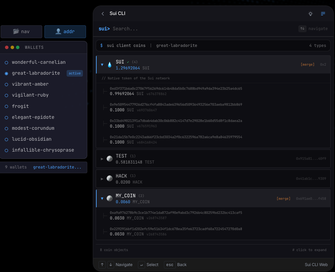 Checking balances in Sui CLI Web