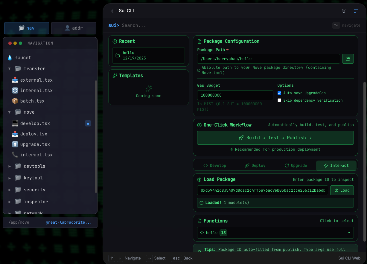 Deploying Move contract in Sui CLI Web