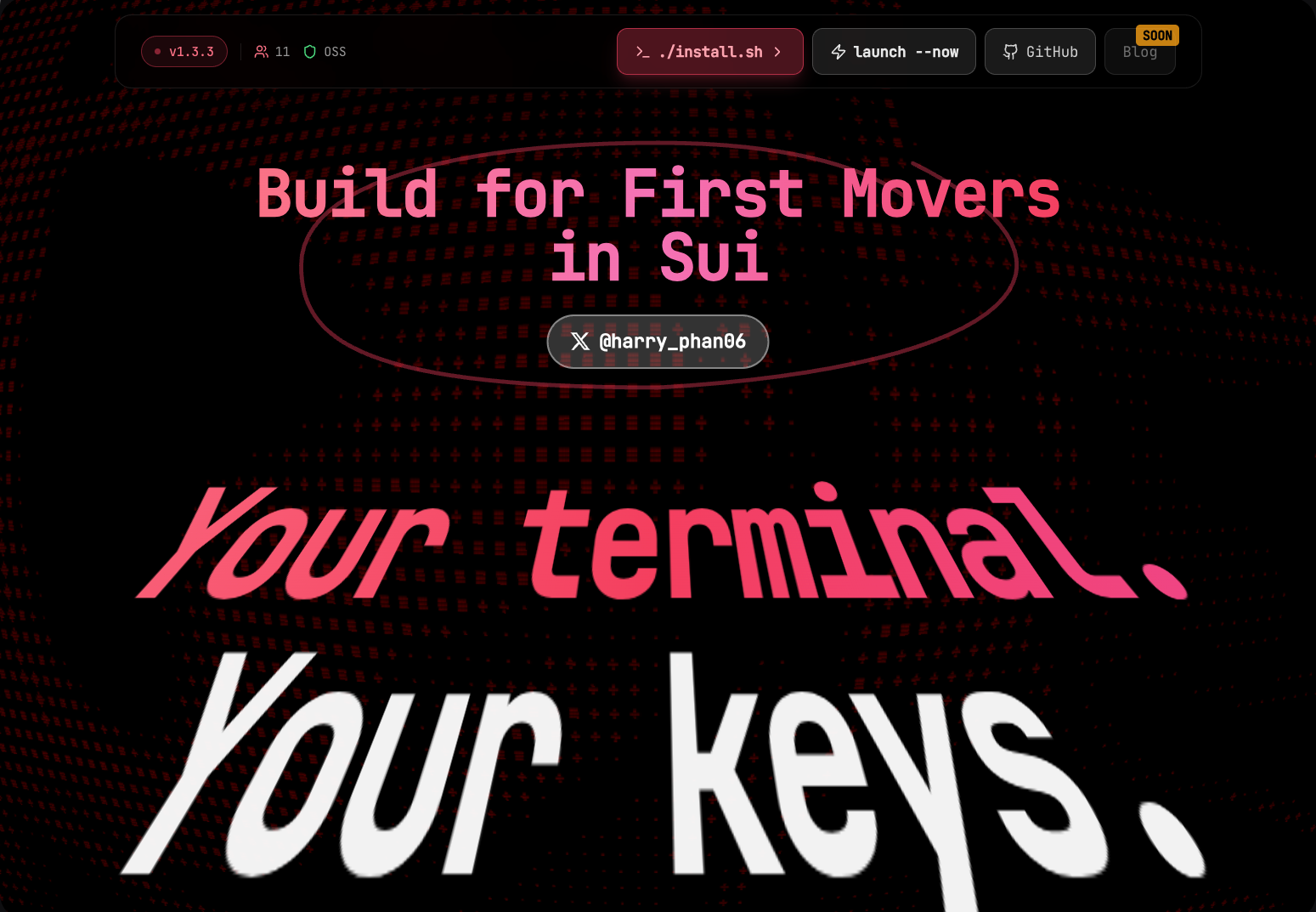 Why I Built Sui CLI Web: The Fastest Tool for Sui First Movers