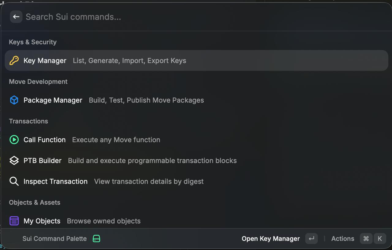 Sui CLI Raycast Extension
